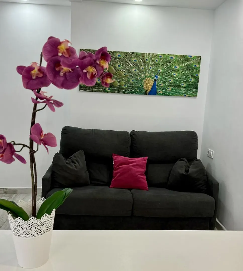 San Eugenio Charming Renovated Apartment Tenerife Costa Adeje  0*, Costa Adeje (Tenerife) Spagna